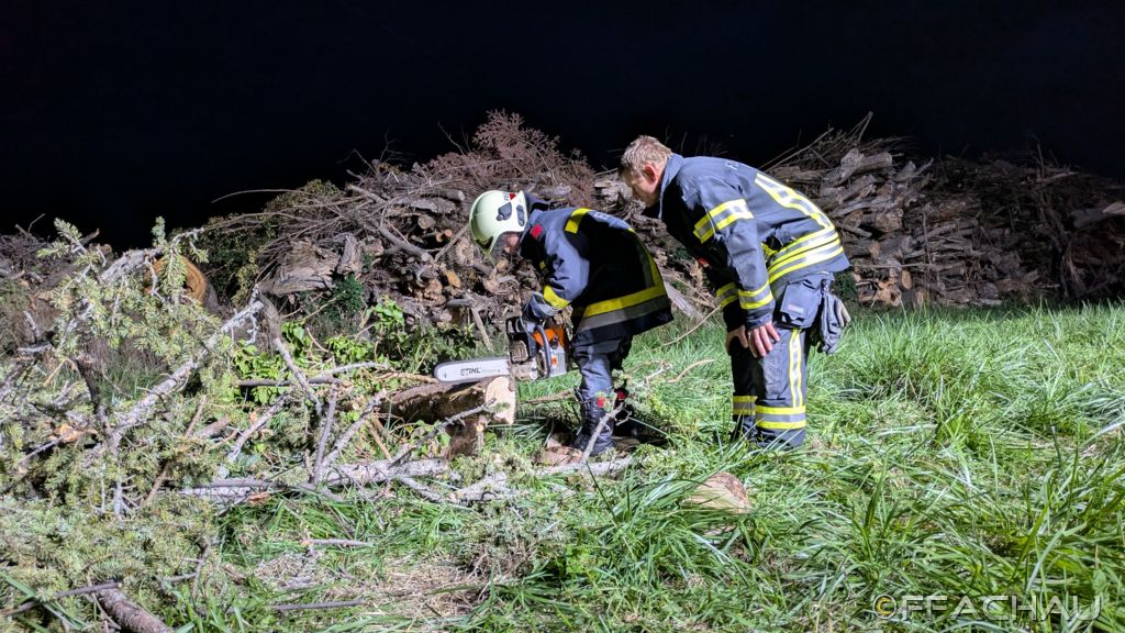 20250922_1942__Uebung_Motorsaege_08_