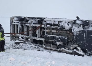 T1 – Fahrzeugbergung und loser Ast