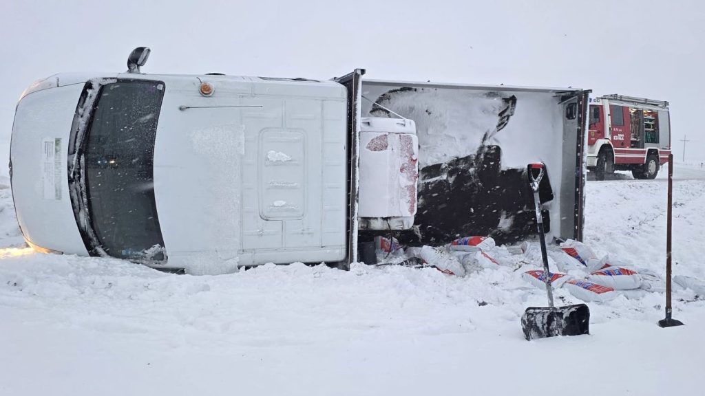 20260220_TE1-0003_01