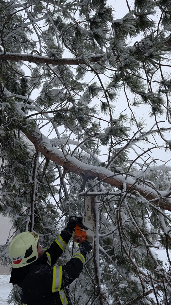 20260220_TE1-0026_01