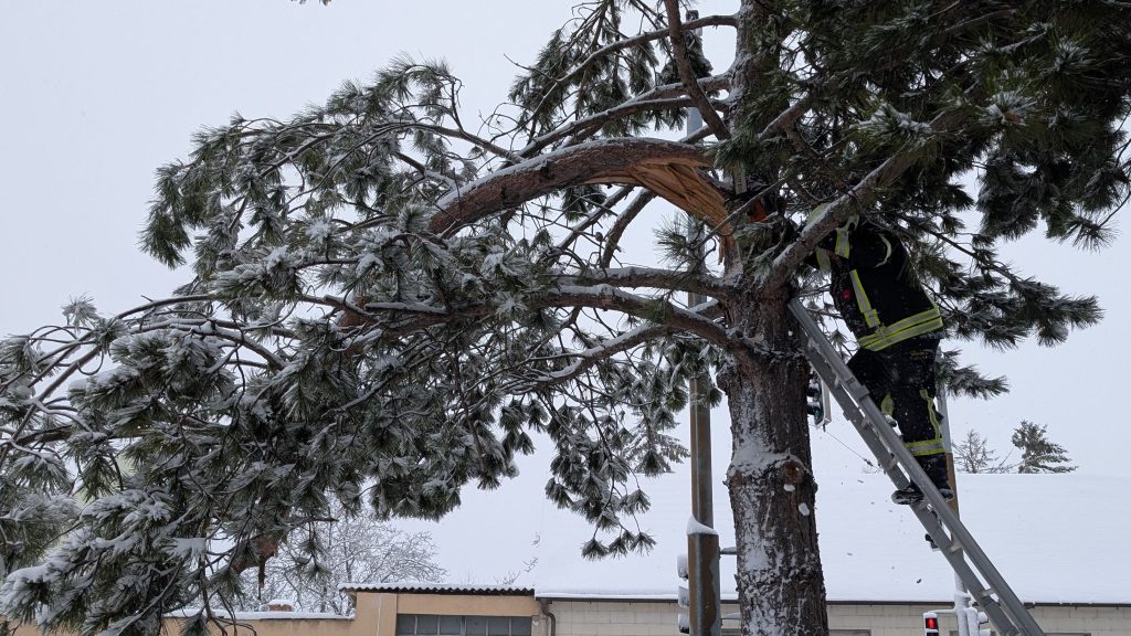 20260220_TE1-0028_01