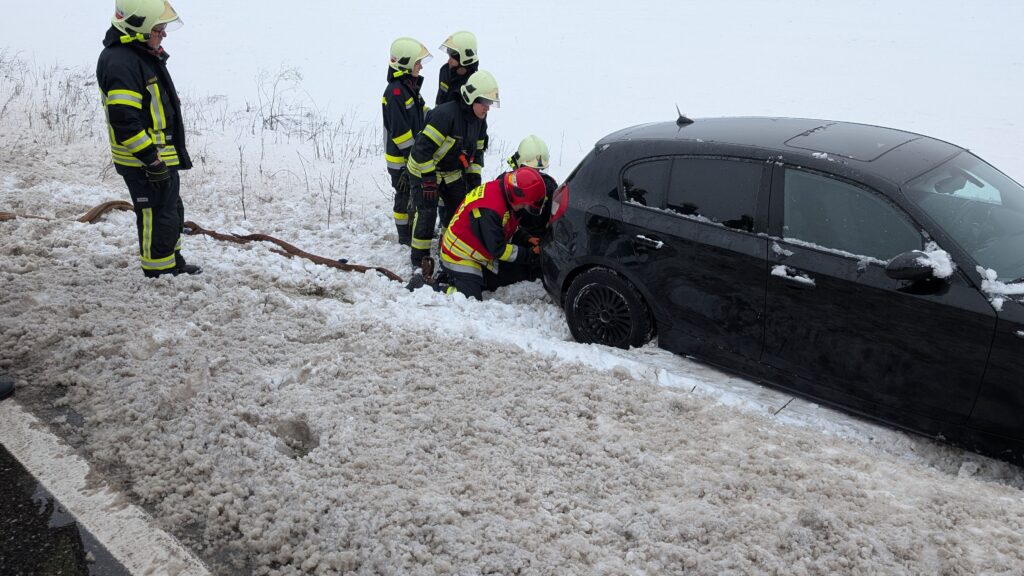 20260220_TE1_3-0011_01