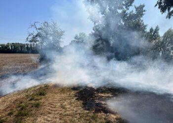 B1 – Vegetationsbrand