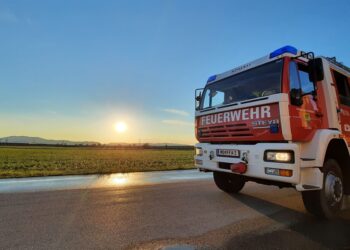 T1 – Personensuche