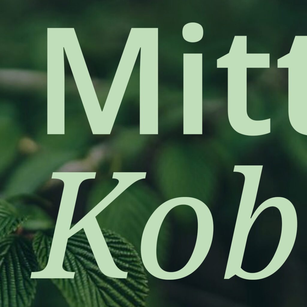 Kobersdorf_Fonts