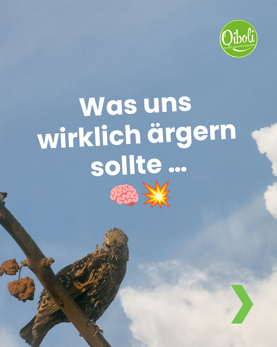 Aerger-Carousel-Slide1