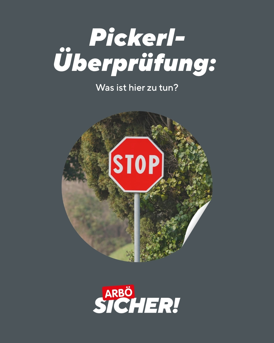 ARBOE-Sicher_Pickerl-Ueberpruefung